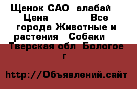 Щенок САО (алабай) › Цена ­ 10 000 - Все города Животные и растения » Собаки   . Тверская обл.,Бологое г.